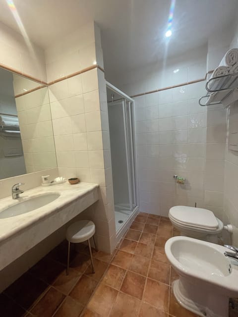 Suite | Bathroom | Shower, rainfall showerhead, free toiletries, hair dryer