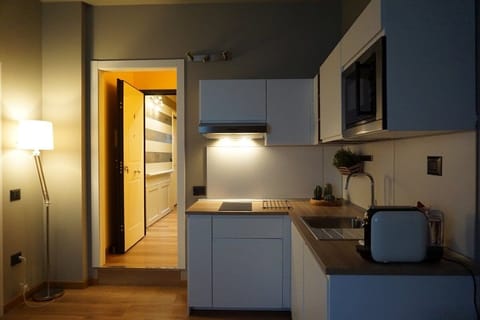 Deluxe Apartment (04) | Private kitchen | Electric kettle, highchair