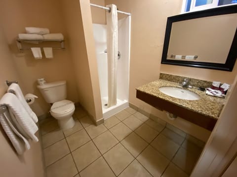 Standard Room, 1 King Bed, Non Smoking | Bathroom | Shower, hair dryer, towels