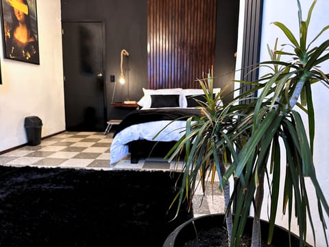 Design Studio Suite | Egyptian cotton sheets, premium bedding, down comforters