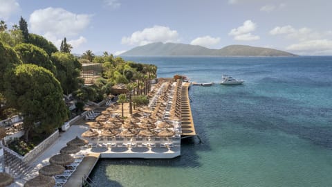 Private beach, sun loungers, beach umbrellas