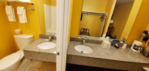 Two Double Executive Beds (No Pets) | Bathroom sink