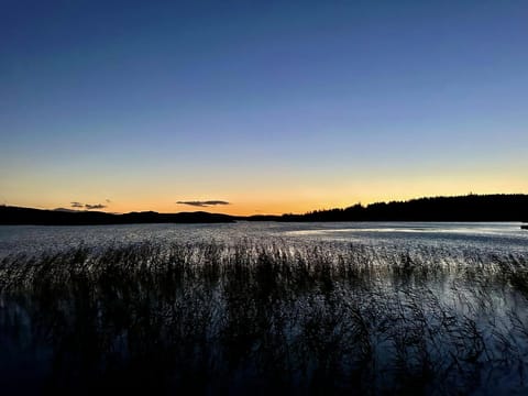 Watching the world go by at sunset.