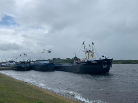 Region [summer] (>5 km)