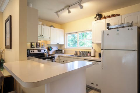 Bright light in the kitchen and ample counter space.
