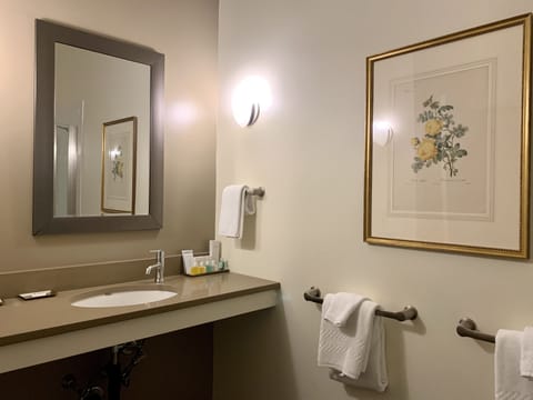 Elite Suite | Bathroom | Free toiletries, hair dryer, bathrobes, towels