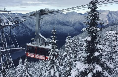 Grouse Mountain 40min drive away