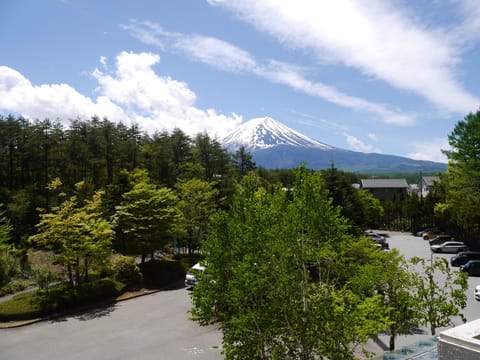 Double Room(2F-3F) with Mt. Fuji View Non-Smoking-No Daily Cleaning | Mountain view