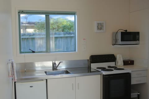 Standard Studio, Non Smoking, Kitchen (Large Studio) | Private kitchenette | Electric kettle, cookware/dishes/utensils