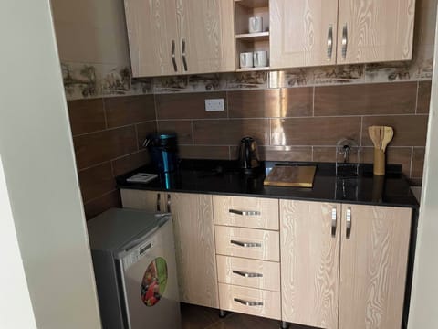 Deluxe Apartment | Private kitchen | Mini-fridge, microwave, oven, dishwasher