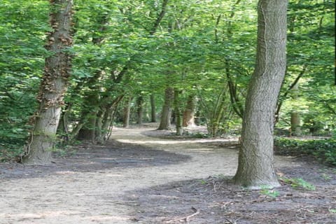 Region [summer] (>5 km)