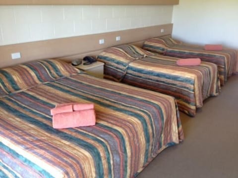 Motel Room | Desk, iron/ironing board, free cribs/infant beds, free rollaway beds