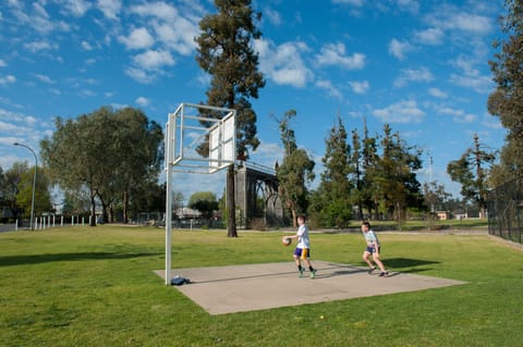 Basketball court