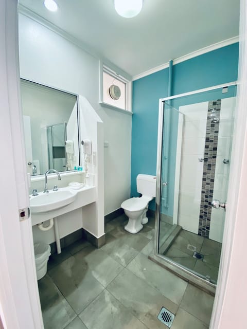 Deluxe Queen Room | Bathroom | Shower, free toiletries, hair dryer, towels