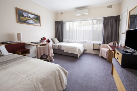 Standard Twin Room | Iron/ironing board, free WiFi, bed sheets