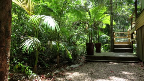 Running Water: Rainforest Treehouse | Terrace/patio