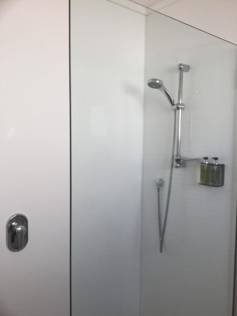 Twin Studio Unit | Bathroom | Shower, free toiletries, hair dryer, towels