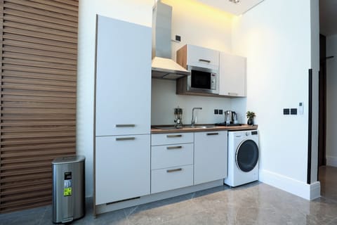 Deluxe Studio | Private kitchen | Mini-fridge, microwave, oven, dishwasher