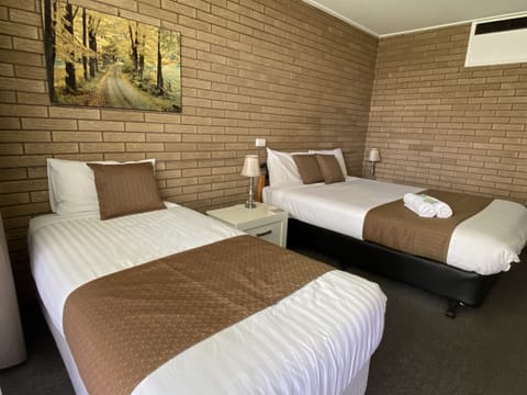 Deluxe Twin Room, 1 Bedroom | Desk, soundproofing, iron/ironing board, free WiFi