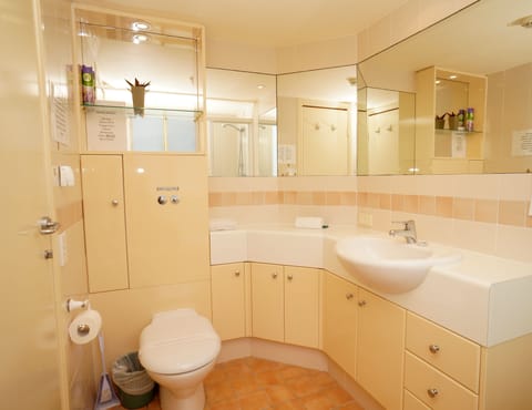 Combined shower/tub, free toiletries, hair dryer, towels