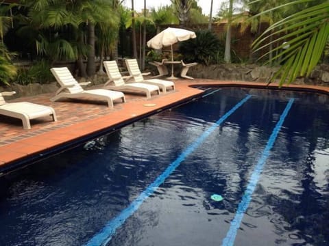 Outdoor pool, sun loungers