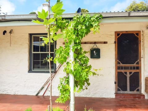 Traditional House, 2 Queen Beds, Kitchen | Iron/ironing board, free WiFi, bed sheets