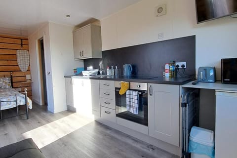 Studio | Private kitchen | Fridge, microwave, oven, stovetop