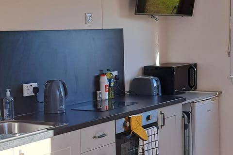 Studio | Private kitchen | Fridge, microwave, oven, stovetop