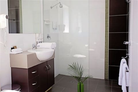 Deluxe Twin Room, Accessible | Bathroom | Shower, hair dryer, towels