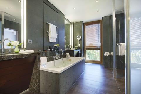 Panorama Suite | Bathroom | Rainfall showerhead, eco-friendly toiletries, hair dryer, bathrobes