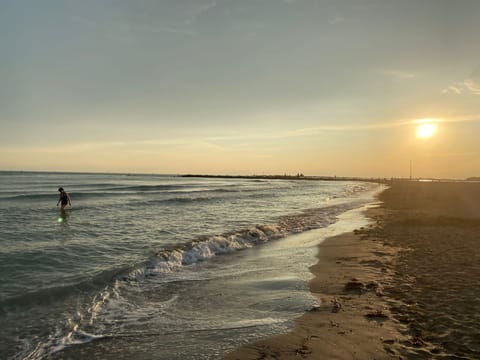 Beach nearby, white sand, beach cabanas, sun loungers