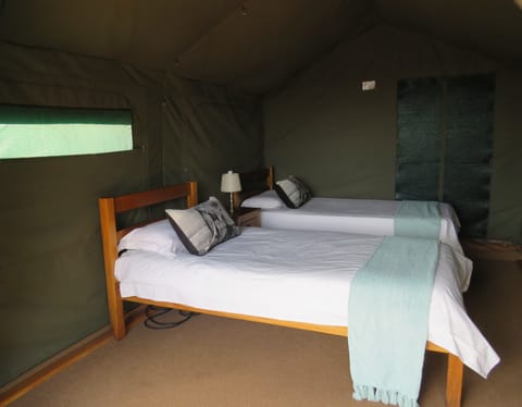 Family Tent | In-room safe, bed sheets