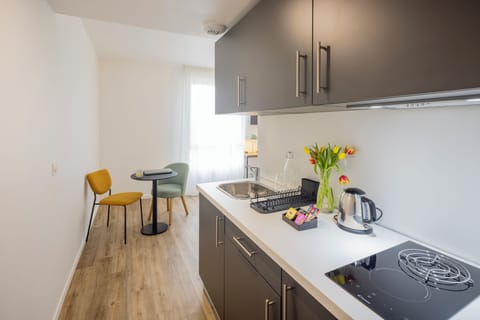 Superior studio, 1 double bed | Private kitchen | Fridge, microwave, stovetop, coffee/tea maker