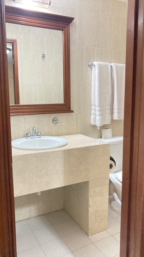 Premium Double Room | Bathroom | Shower, rainfall showerhead, towels, soap