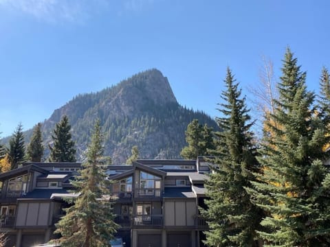 Mount Royal in walking distance