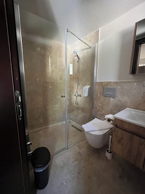 Classic Triple Room | Bathroom | Shower, towels, soap, shampoo