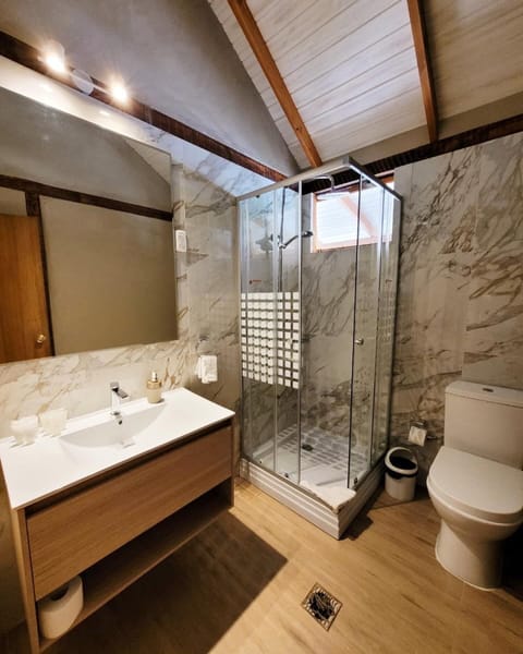 Cabin | Bathroom | Shower, rainfall showerhead, hair dryer, towels