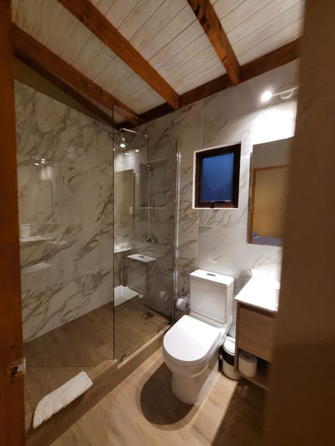 Deluxe Triple Room | Bathroom | Shower, rainfall showerhead, hair dryer, towels