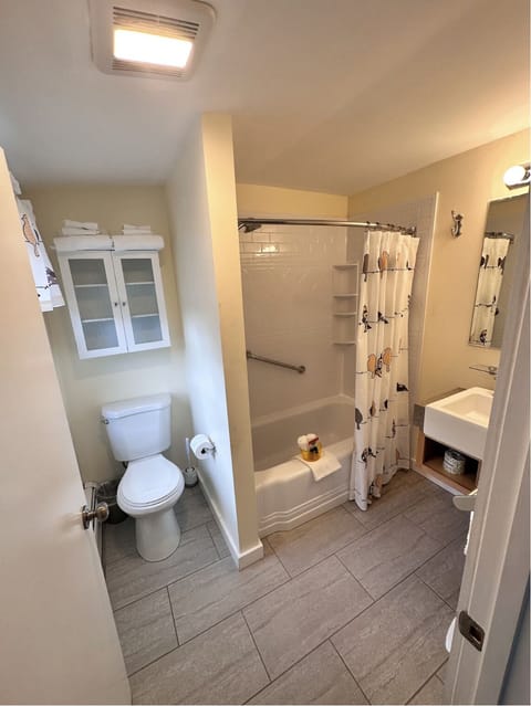 Deluxe Suite | Bathroom | Combined shower/tub, designer toiletries, hair dryer, towels