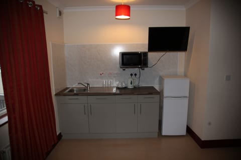 Apartment | Private kitchenette | Full-size fridge, microwave, electric kettle