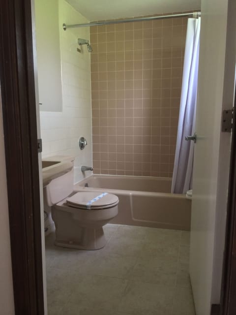 Combined shower/tub, hair dryer, towels