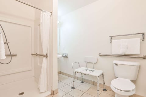 Standard Room, 1 King Bed, Accessible, Non Smoking | Bathroom | Free toiletries, hair dryer, towels, soap