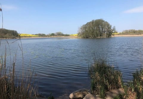 The lake of Gerswalde, perfect for fishing