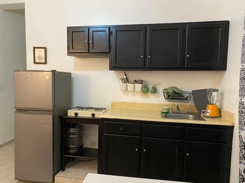 City Apartment | Private kitchen | Full-size fridge, oven, stovetop, coffee/tea maker