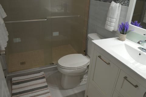 Standard Apartment | Bathroom | Shower, rainfall showerhead, free toiletries, hair dryer