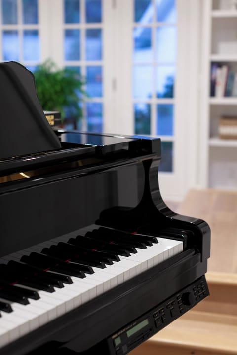Main house: off of the entryway is  this spacious room with piano, endless collection of books, and direct access to the back courtyard.