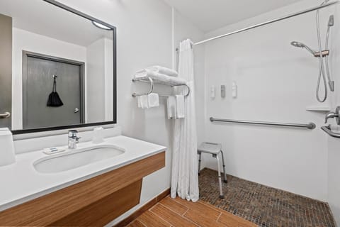 Room, 1 King Bed with Sofa bed, Accessible (Roll-In Shower) | Bathroom shower