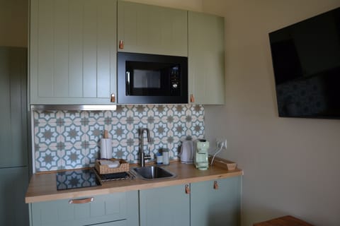 Deluxe Apartment | Private kitchen | Full-size fridge, microwave, dishwasher, toaster