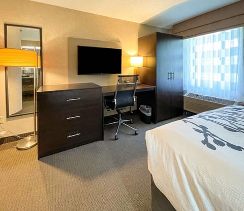 Standard Room, 1 Queen Bed, Non Smoking | In-room safe, desk, laptop workspace, blackout drapes