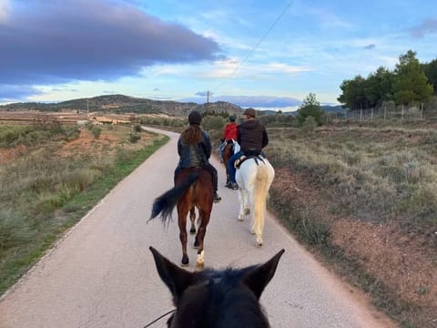 Horseback riding